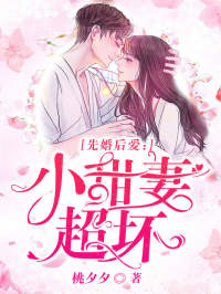 凌昊天苏念