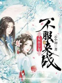 双面皇叔：不服来战！