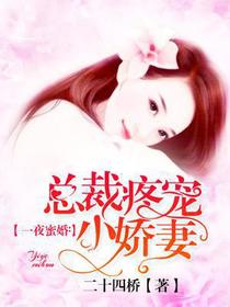 一夜蜜婚：总裁疼宠小娇妻