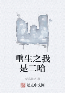重生之我是二哈