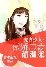 宠妻撩人：傲娇总裁请温柔