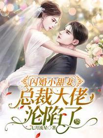 闪婚小甜妻,总裁大佬沦陷了