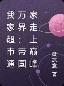 我家超市通万界：带国家走上巅峰