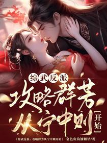 综武反派：攻略群芳从宁中则开始