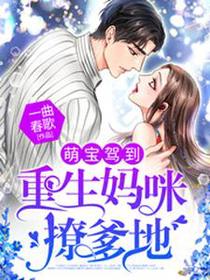 萌宝驾到：重生妈咪撩爹地