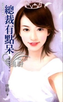 总裁有点呆