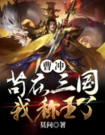 曹冲：苟在三国，我称王了